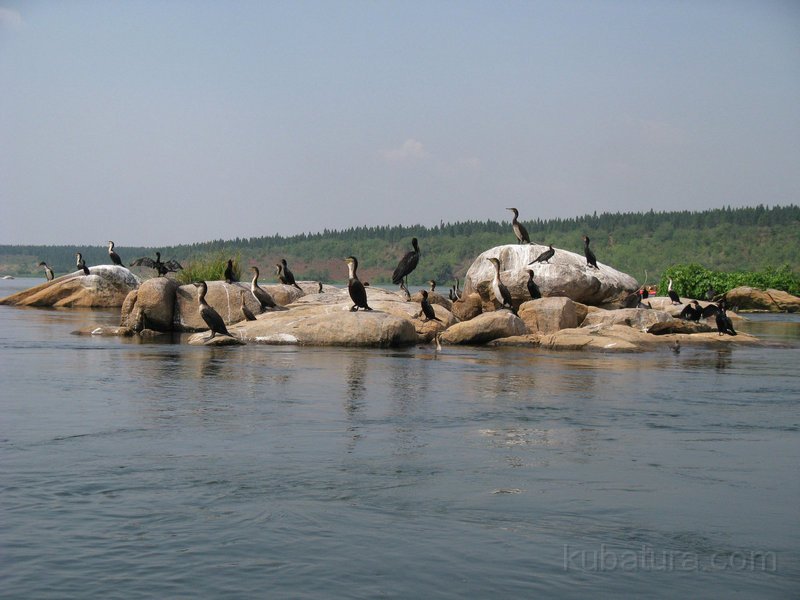 682 670 IMG_2828.jpg